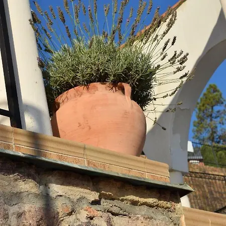 Villa And La Coraillere Theoule-sur-Mer